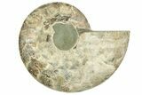 Cut & Polished Ammonite Fossil (Half) - Madagascar #223214-1